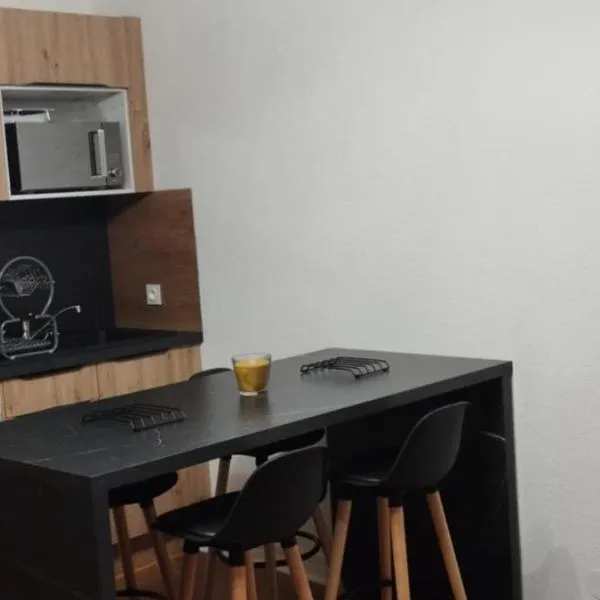 Studio à 300M des pistes – hotel w mieście Saint-Jean-dʼAulps