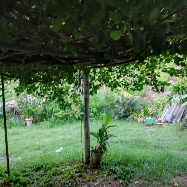 Excelente APTO proximo ao centro - Foto 4