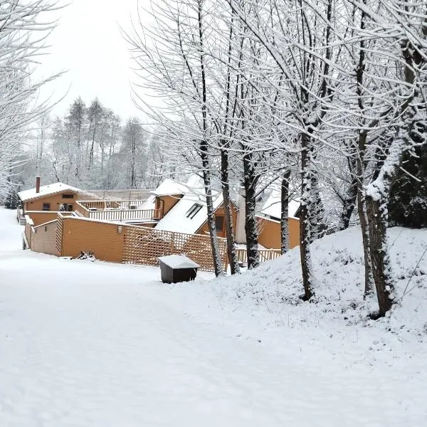Chalets under Falcon Ridge, hotel v destinaci Česká Ves