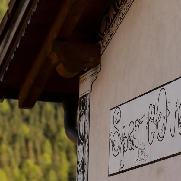 Chesa Sper l'Ovel Brail, hotel v destinaci Zernez