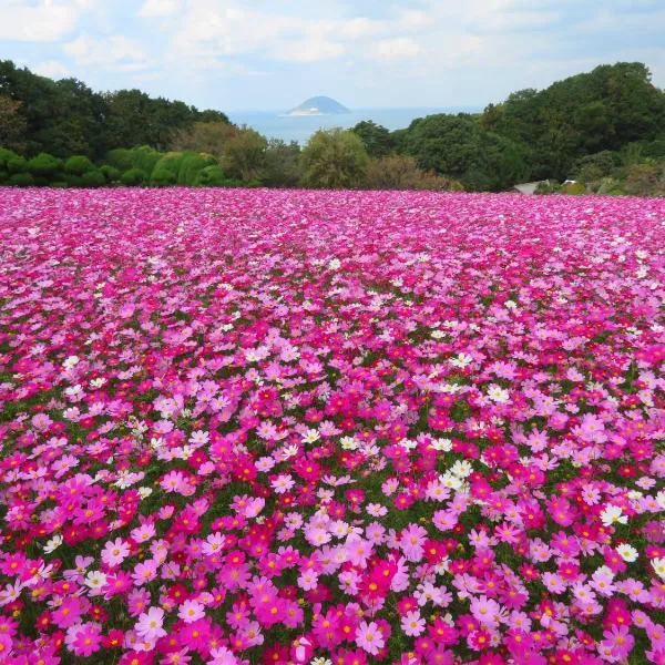 Nokoshima Island Park Villa Sakimori, отель в Фукуоке