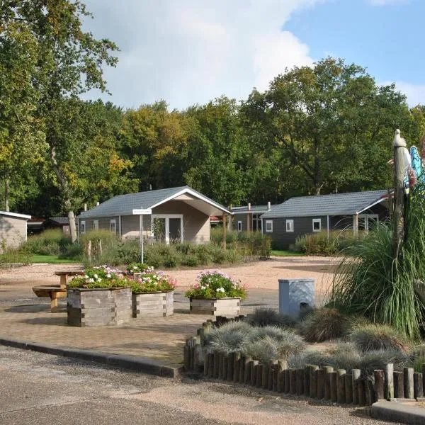 Vakantiepark Schouwen, hotel in Renesse