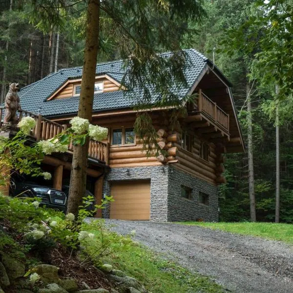 Wellness Chalet Durik Bystra - Ski Chopok Jasna South, Ski Tale、Horná Lehotaのホテル