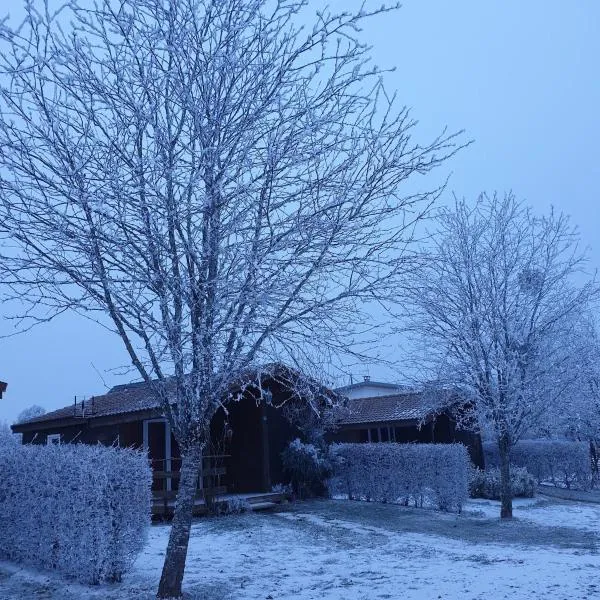 Chalet Jonquille 1, Hotel in Plombières-les-Bains