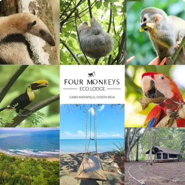 Four Monkeys Eco Lodge - Jungle & Beach, hotel v destinaci Cabo Matapalo