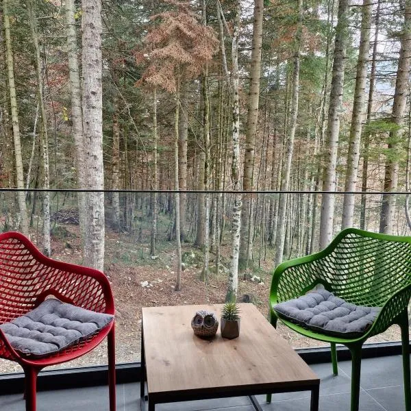 Green peace-Bjelašnica, hotel v destinaci SJJ