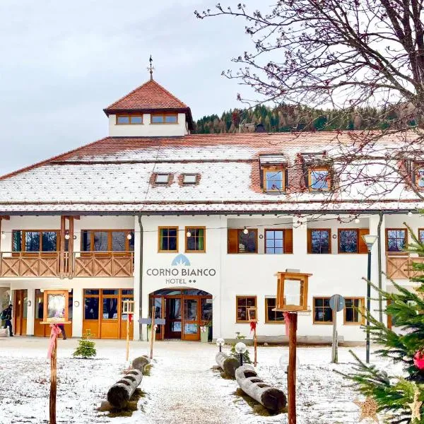 Hotel Corno Bianco, hotel u gradu Nova Ponente