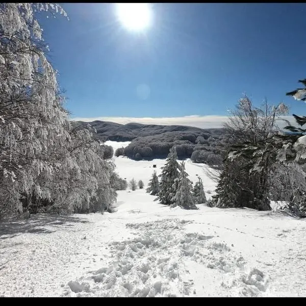 GENZIANA, hotel in Cotronei