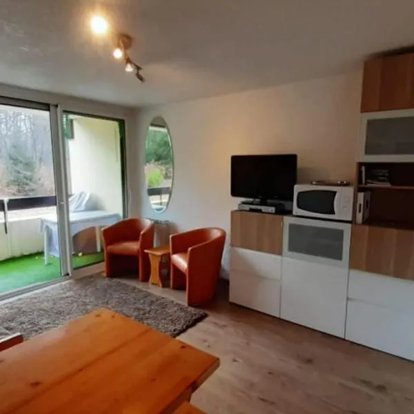 Joli studio aux Carroz d'Arâches, hotel in Arâches-la-Frasse