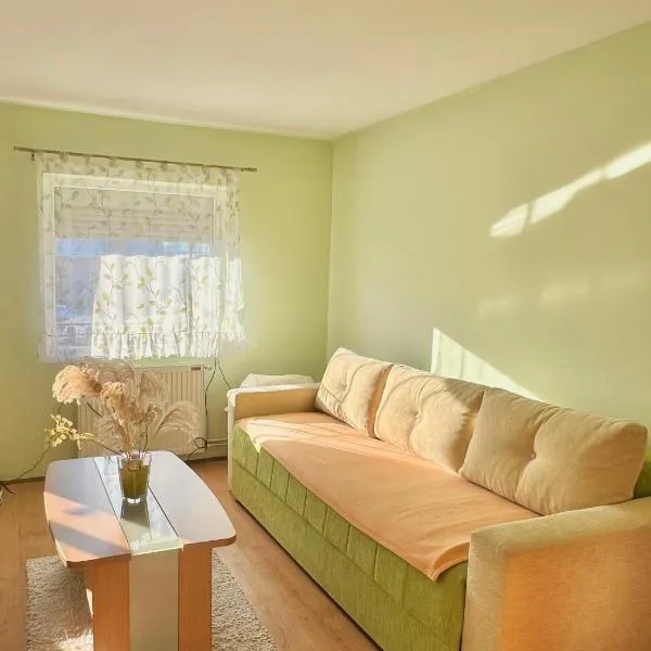 Apartman Rosić, hotel v destinaci Arilje