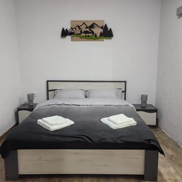 Casa Orhideea, hotel em Borsec