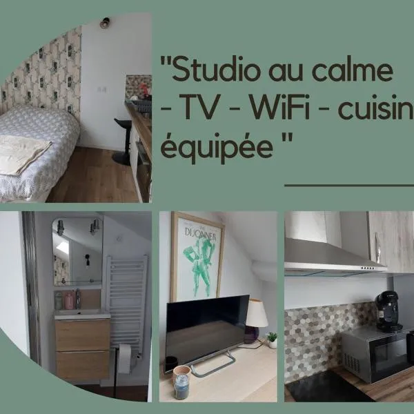 Sous les toits - Wi-Fi - TV, hotel in Dijon