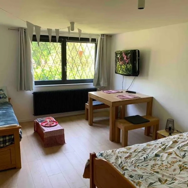 Espace privé dans un parc arboré, hotel v destinaci Guebwiller