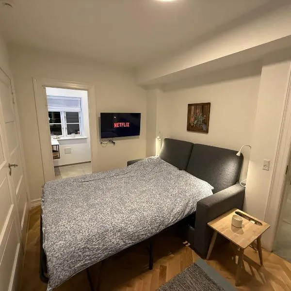 Ny & hyggelig moderne suite, hotel v destinaci Hvidovre