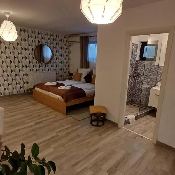 Neferprod Apartments - IS - CAM 05，蒂米什瓦拉的飯店