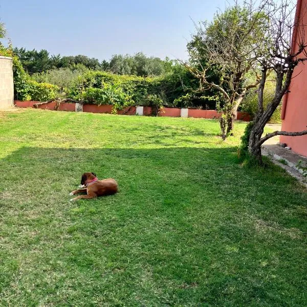 Descanso del GUERRERO, hotel in San Miguel de Fluviá