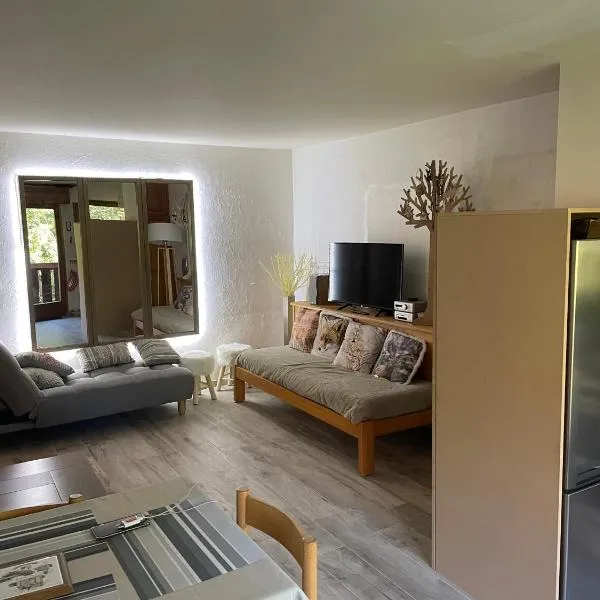 Grand studio Combloux – hotel w mieście Combloux