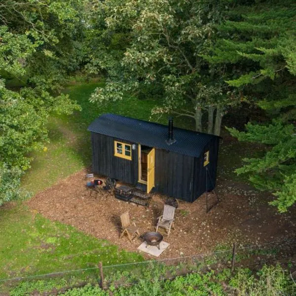 Secret Paddock Shepherds Hut、Hollesleyのホテル