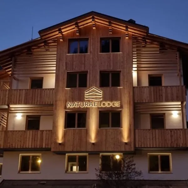 Naturae Lodge Wellness & Spa, hotel Alleghében