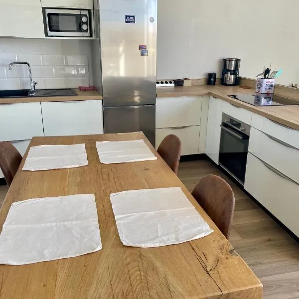 Appartement en duplex avec terrasse, hotel v destinaci Saint-Étienne
