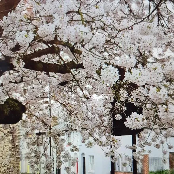 Charming grade 2 listed house, hotel in Canterbury