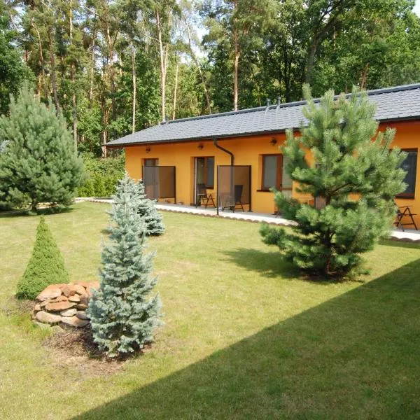 Apartmány Stříbrňák, hotel in Hradec Králové