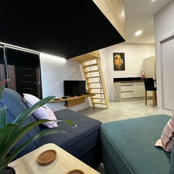 Le Studio de l 'Avenue, hotel v destinaci Valence