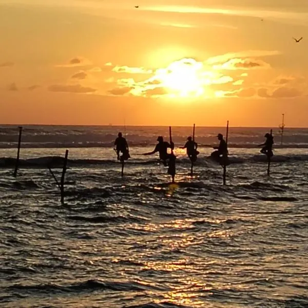 Animal Surf Point, hotel in Ahangama