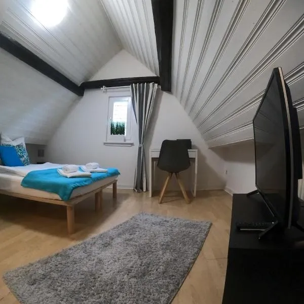 Stilvolle Altbauwohnung, Apartment Träum & schön, hotel in Höhr-Grenzhausen
