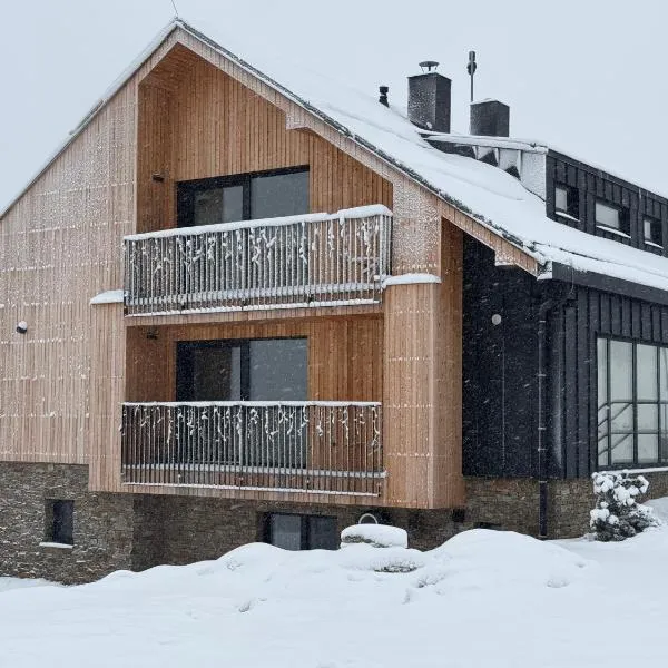 Aldrov Deerhouse, viešbutis mieste Vitkovicė