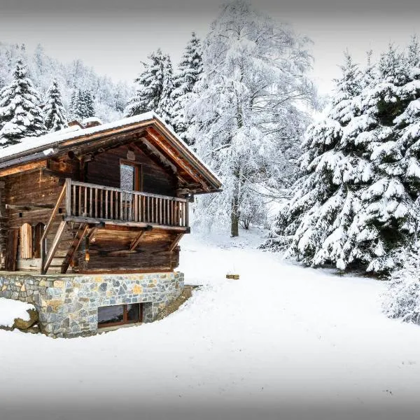 Chalet Sideflip - OVO Network – hotel w mieście Clusaz