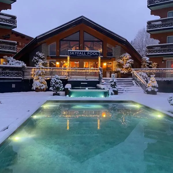 Hôtel Le Labrador 1971, hotel in Les Gets
