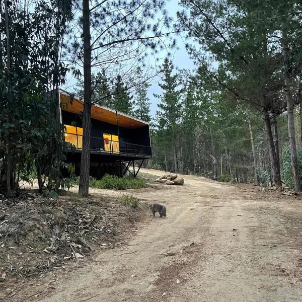 Hermosa casa en el bosque, hotel v mestu Algarrobo