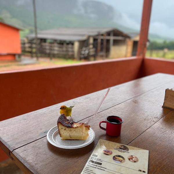 Loba da Canastra Hostel and Guest House - Foto 4
