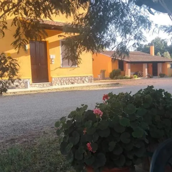 Appartamento da marco, hotel in Magliano in Toscana