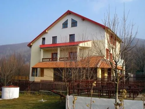 Pensiunea Daniels, Hotel in Văliug