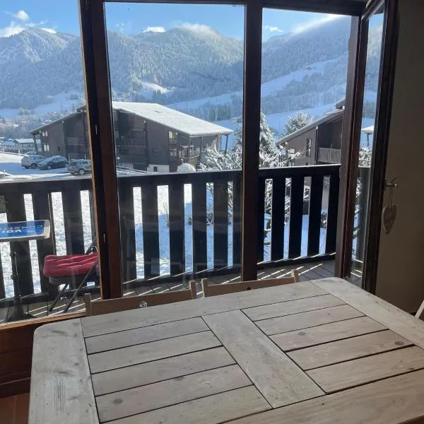 Appartement 6 pers proche des pistes, hotel v destinácii Praz-sur-Arly