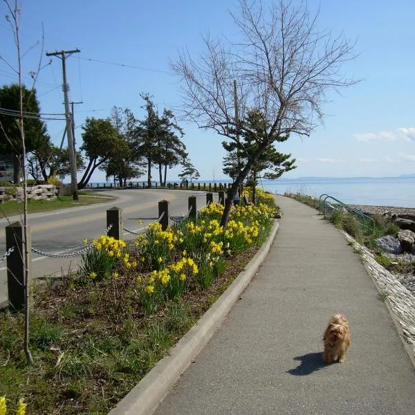 Davis Bay Bed & Breakfast, hotel in Roberts Creek