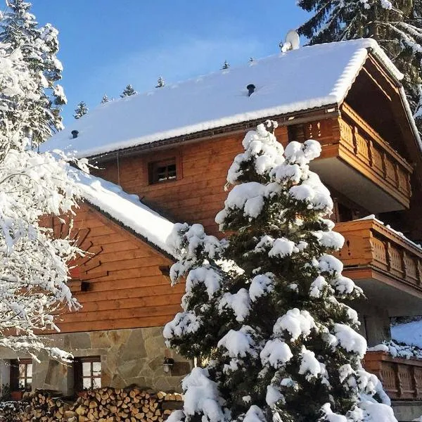 Chata Alpina Čertov, hotel v destinaci Lazy pod Makytou