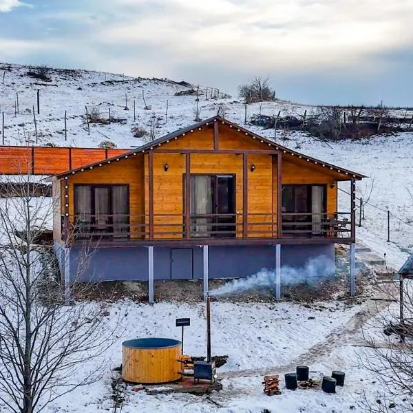 Grili Chero, hotel v destinaci Dushetʼi