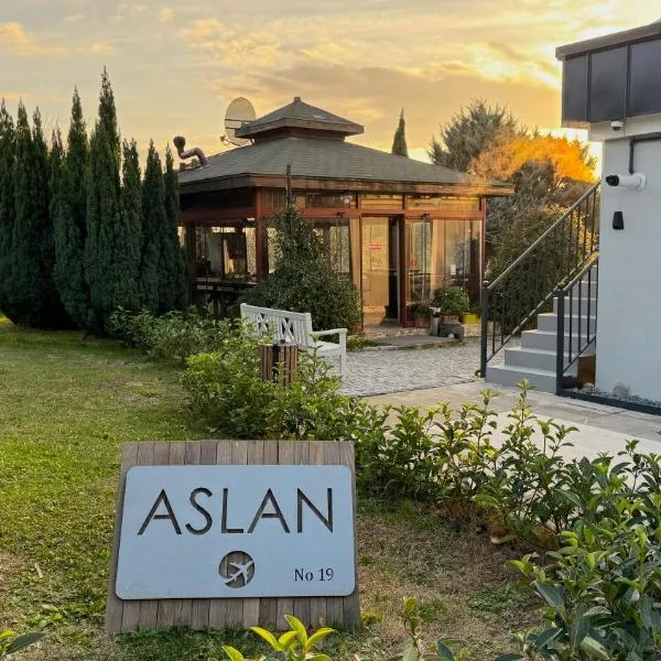 ASLAN AİRPORT Hotel, hotel v destinaci Arnavutköy