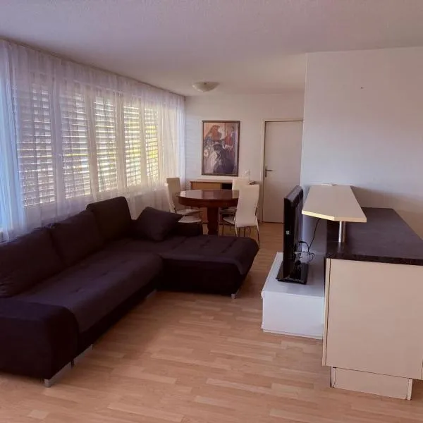 SASS APARTHOTEL, hotel v destinaci Schönenwerd