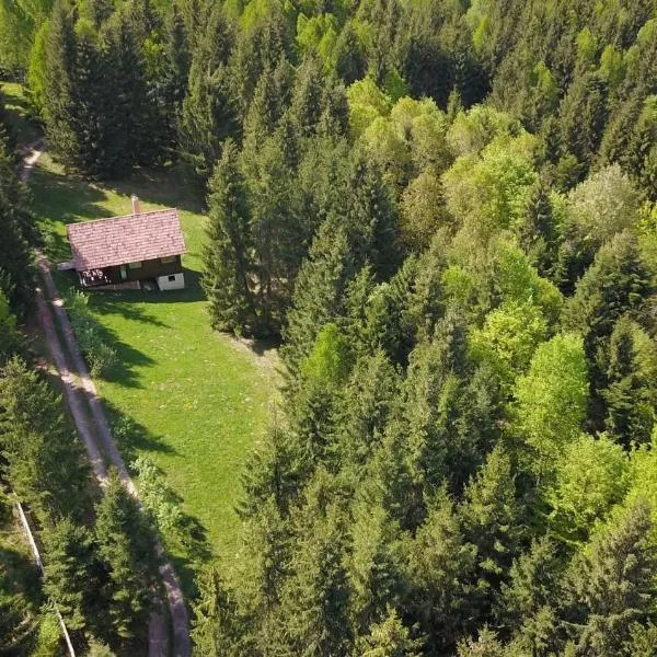 Casa Maria - Feel the Exceptional Spirit of Nature - with Jacuzzi, hotel a Călăţele