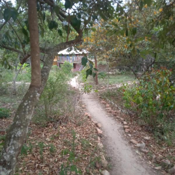Ananda Matha YURTA - Vale do Capão - Foto 4
