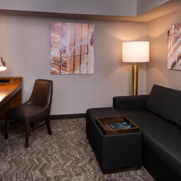 スプリングヒル スイーツ バイ マリオット ピッツバーグ ノースショア（SpringHill Suites by Marriott Pittsburgh North Shore）、ピッツバーグのホテル