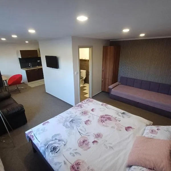 Ubytovanie Pod lesom, hotel en Ľubica