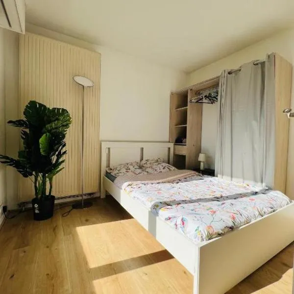 Charmant appartement en plein centre ville de Nogent sur Marne – hotel w mieście Nogent-sur-Marne