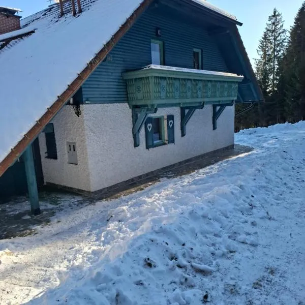 Apartma Jurček Rogla, hotel en Rakovec