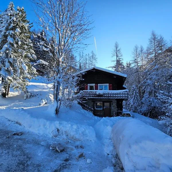 Petit chalet rustique et bucolique, hotel v destinaci Bovernier