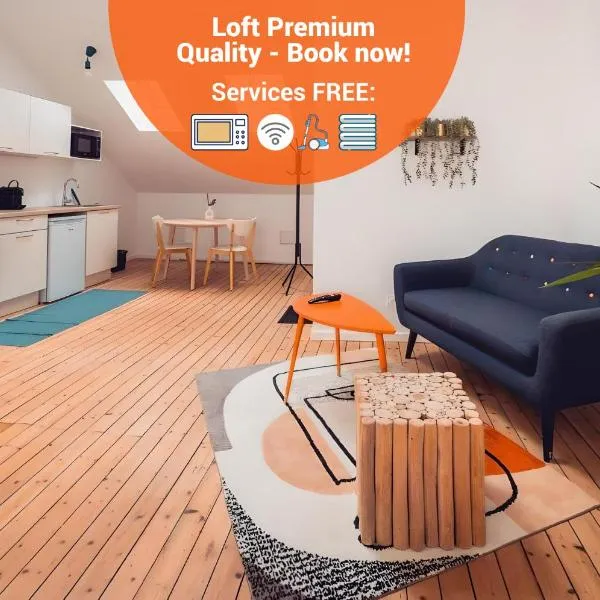 Loft lumineux très spacieux - Parking gratuit, hotel en Châteauroux